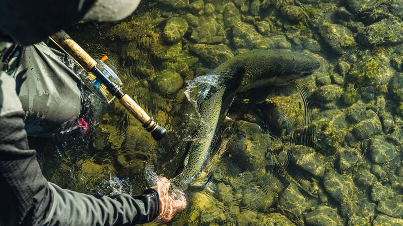 Patagonia Fly Fish