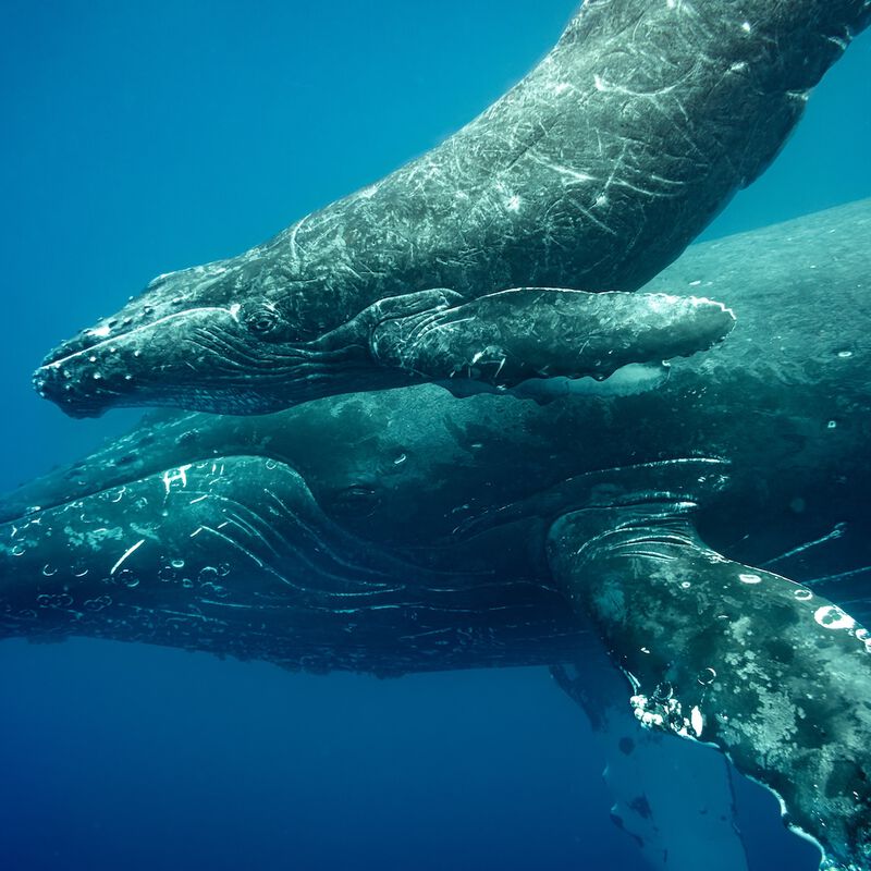 海と生きる。それぞれの物語 - Oceans Journal 刊行記念イベント